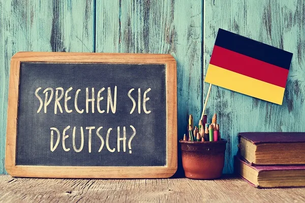 Importance of German language in Germany