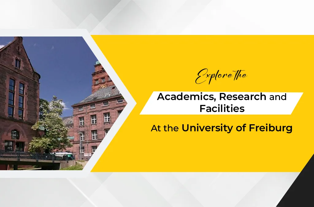 Explore the Academics, Research, and Facilities at the University of Freiburg