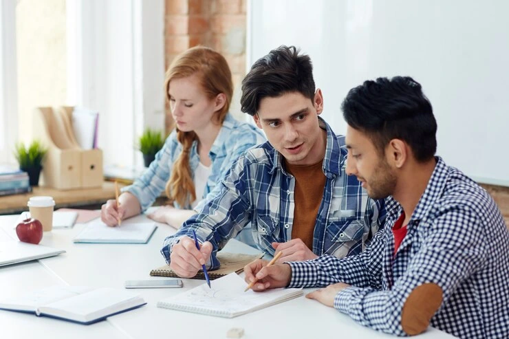 Study in Germany Consultant